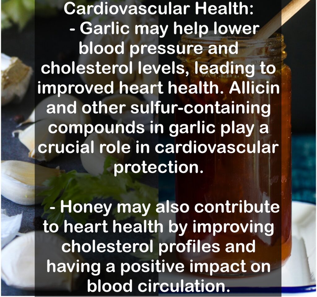 4. Cardiovascular Health: - Garlic may help lower blood pressure and cholesterol levels, leading to improved heart health. Allicin and other sulfur-containing compounds in garlic play a crucial role in cardiovascular protection. - Honey may also contribute to heart health by improving cholesterol profiles and having a positive impact on blood circulation.