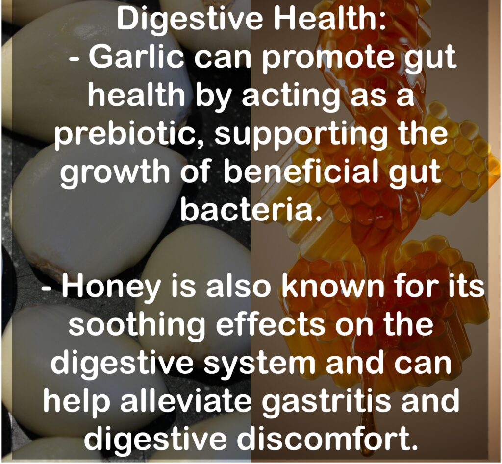 5. Digestive Health: - Garlic can promote gut health by acting as a prebiotic, supporting the growth of beneficial gut bacteria. - Honey is also known for its soothing effects on the digestive system and can help alleviate gastritis and digestive discomfort.