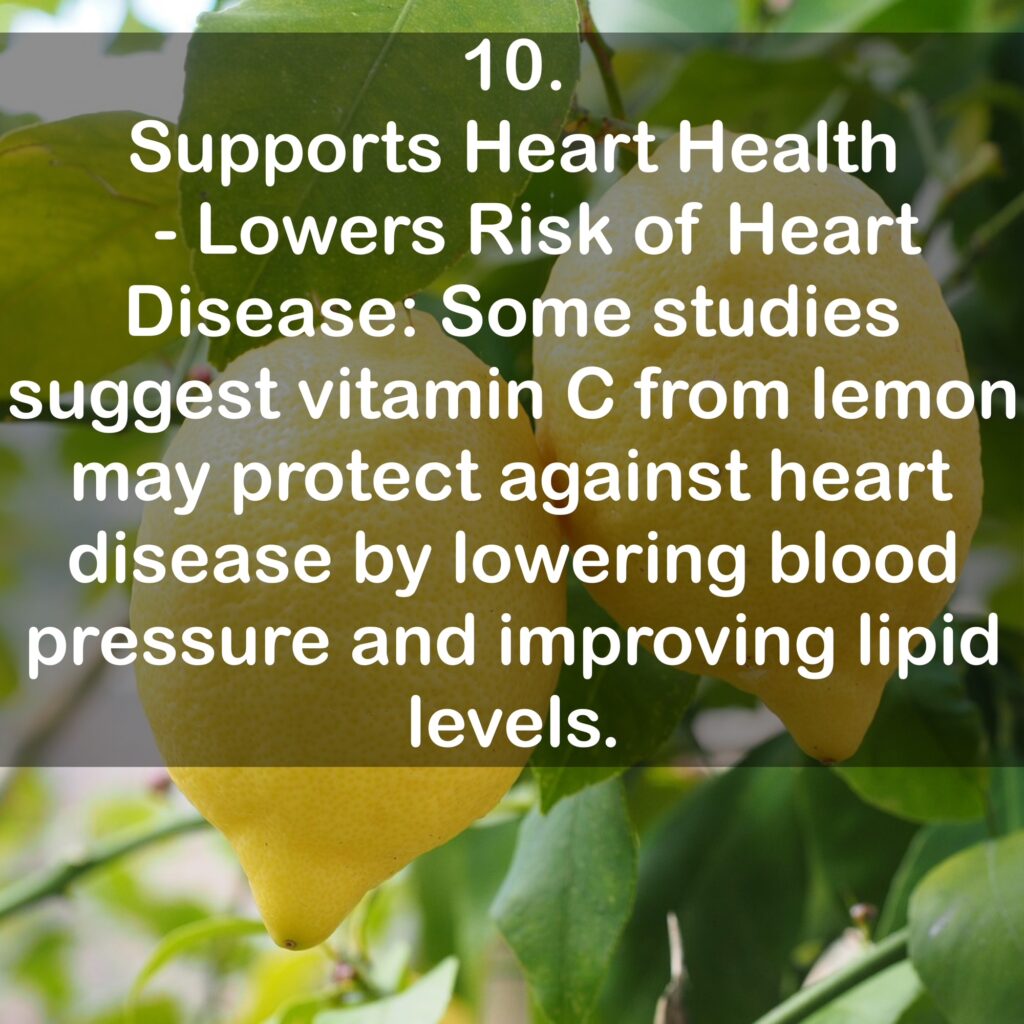10. Supports Heart Health - Lowers Risk of Heart Disease: Some studies suggest vitamin C from lemon may protect against heart disease by lowering blood pressure and improving lipid levels.