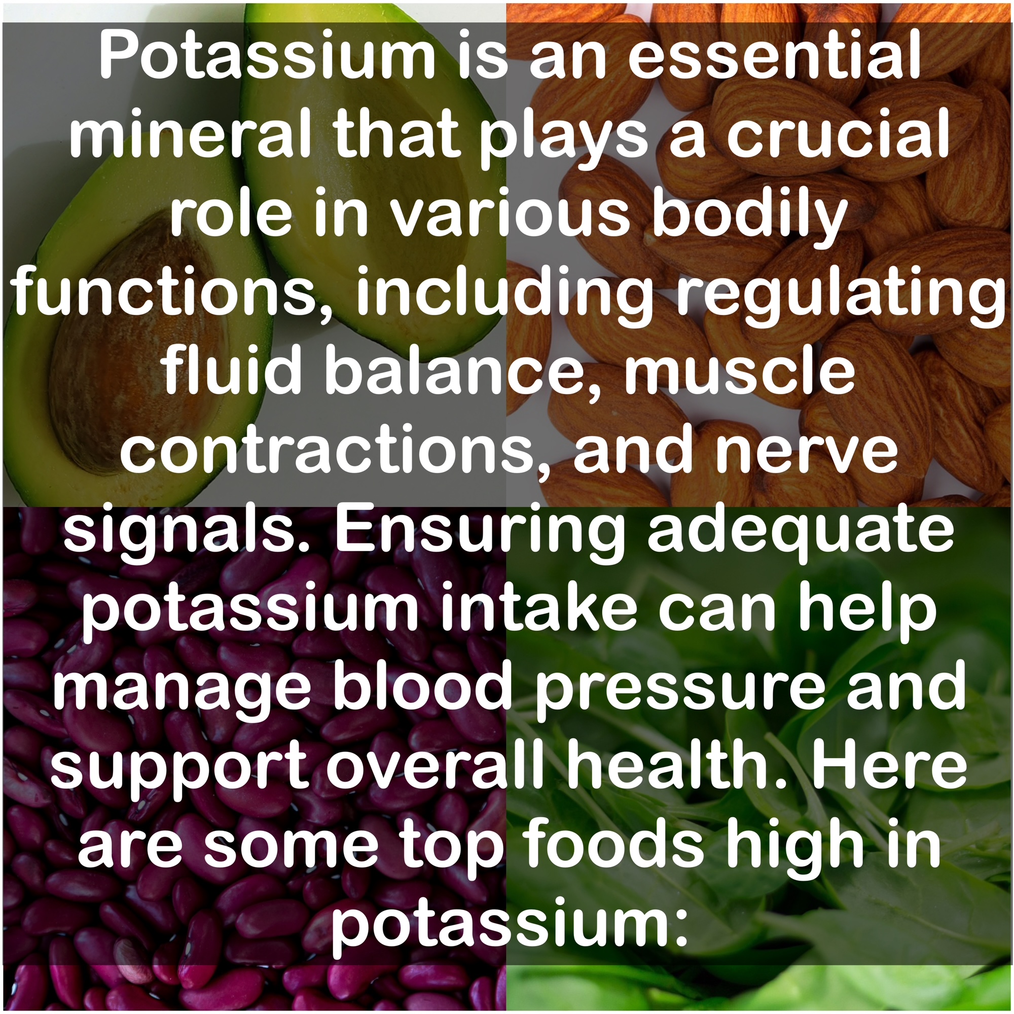 Potassium is an essential mineral that plays a crucial role in various bodily functions, including regulating fluid balance, muscle contractions, and nerve signals. Ensuring adequate potassium intake can help manage blood pressure and support overall health. Here are some top foods high in potassium: