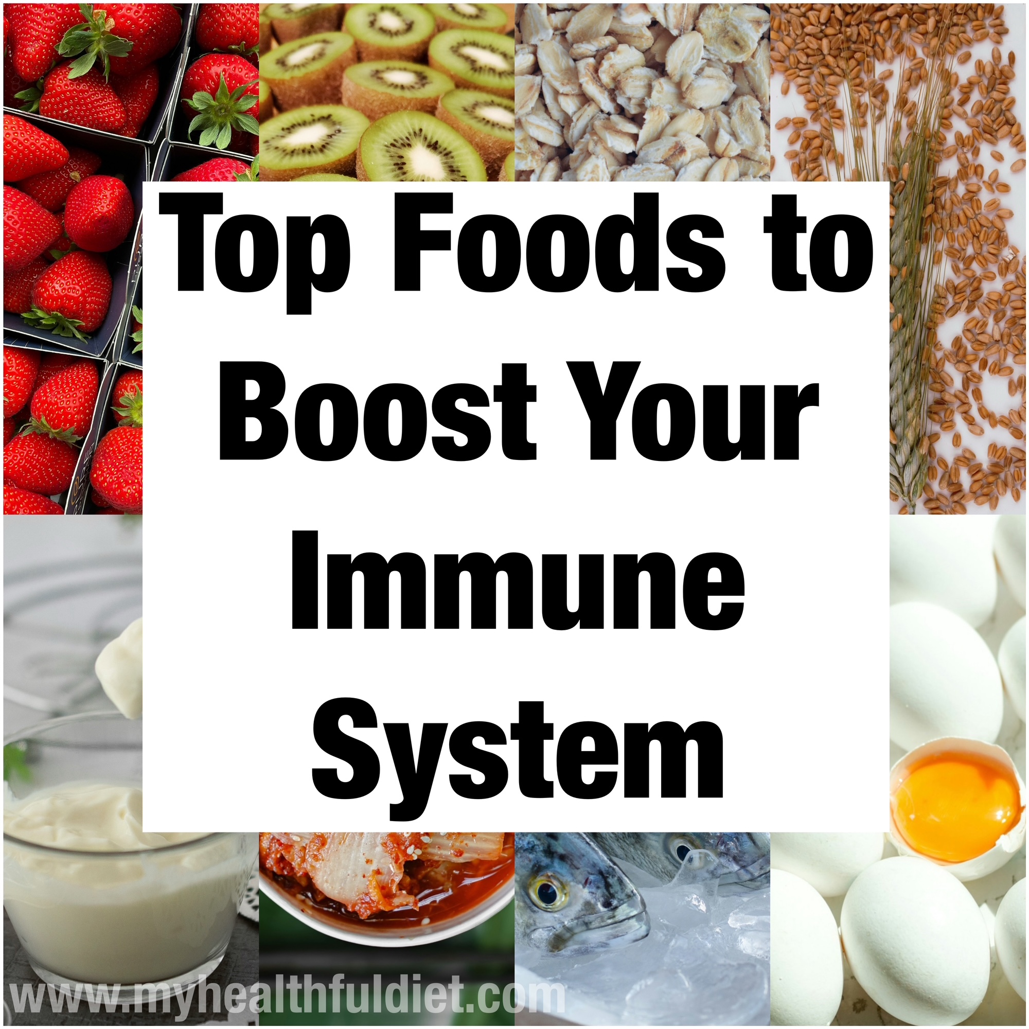 Top Foods to Boost Your Immune System