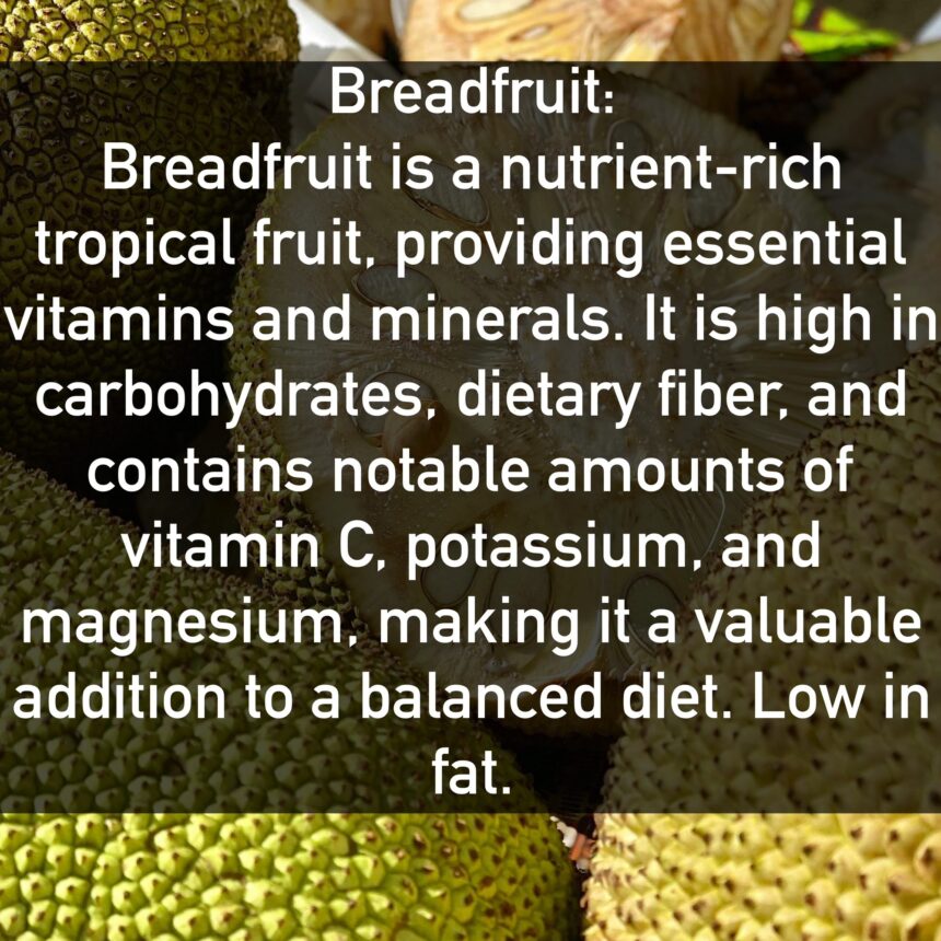 Breadfruit Breadfruit is a nutrient-rich tropical fruit, providing essential vitamins and minerals. It is high in carbohydrates, dietary fiber, and contains notable amounts of vitamin C, potassium, and magnesium, making it a valuable addition to a balanced diet. Low in fat.
