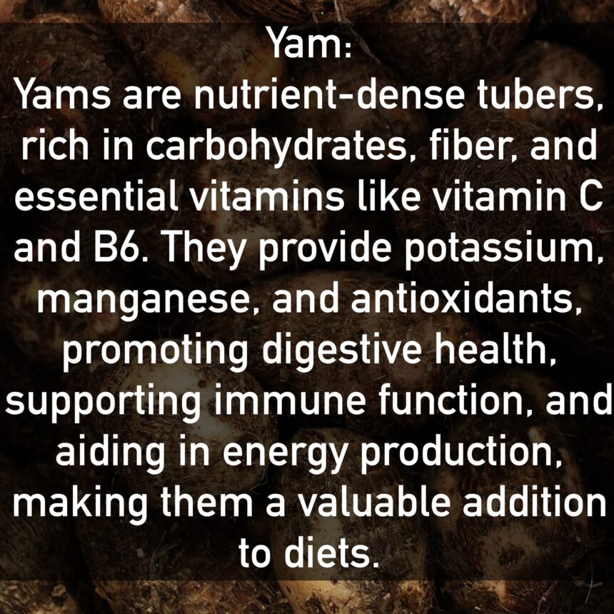 Yam Yams are nutrient-dense tubers, rich in carbohydrates, fiber, and essential vitamins like vitamin C and B6. They provide potassium, manganese, and antioxidants, promoting digestive health, supporting immune function, and aiding in energy production, making them a valuable addition to diets.