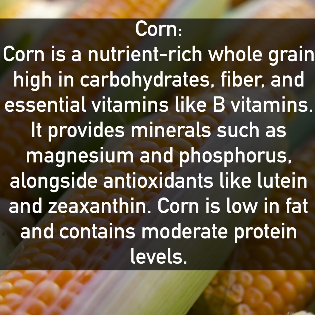 Corn Corn is a nutrient-rich whole grain high in carbohydrates, fiber, and essential vitamins like B vitamins. It provides minerals such as magnesium and phosphorus, alongside antioxidants like lutein and zeaxanthin. Corn is low in fat and contains moderate protein levels.