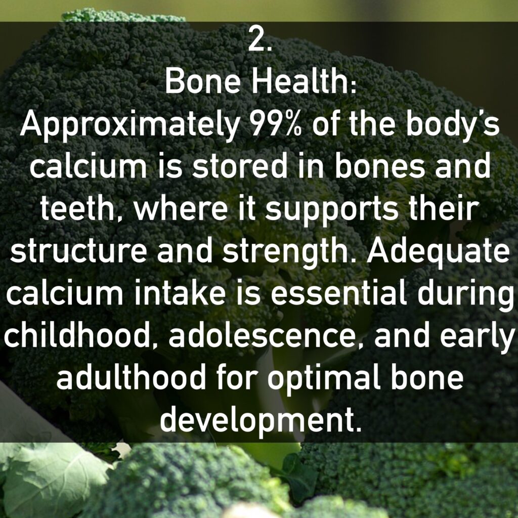 2. Bone Health: Approximately 99% of the body’s calcium is stored in bones and teeth, where it supports their structure and strength. Adequate calcium intake is essential during childhood, adolescence, and early adulthood for optimal bone development.