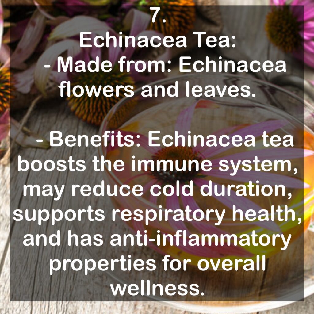 7. Echinacea Tea: - Made from: Echinacea flowers and leaves. - Benefits: Echinacea tea boosts the immune system, may reduce cold duration, supports respiratory health, and has anti-inflammatory properties for overall wellness.