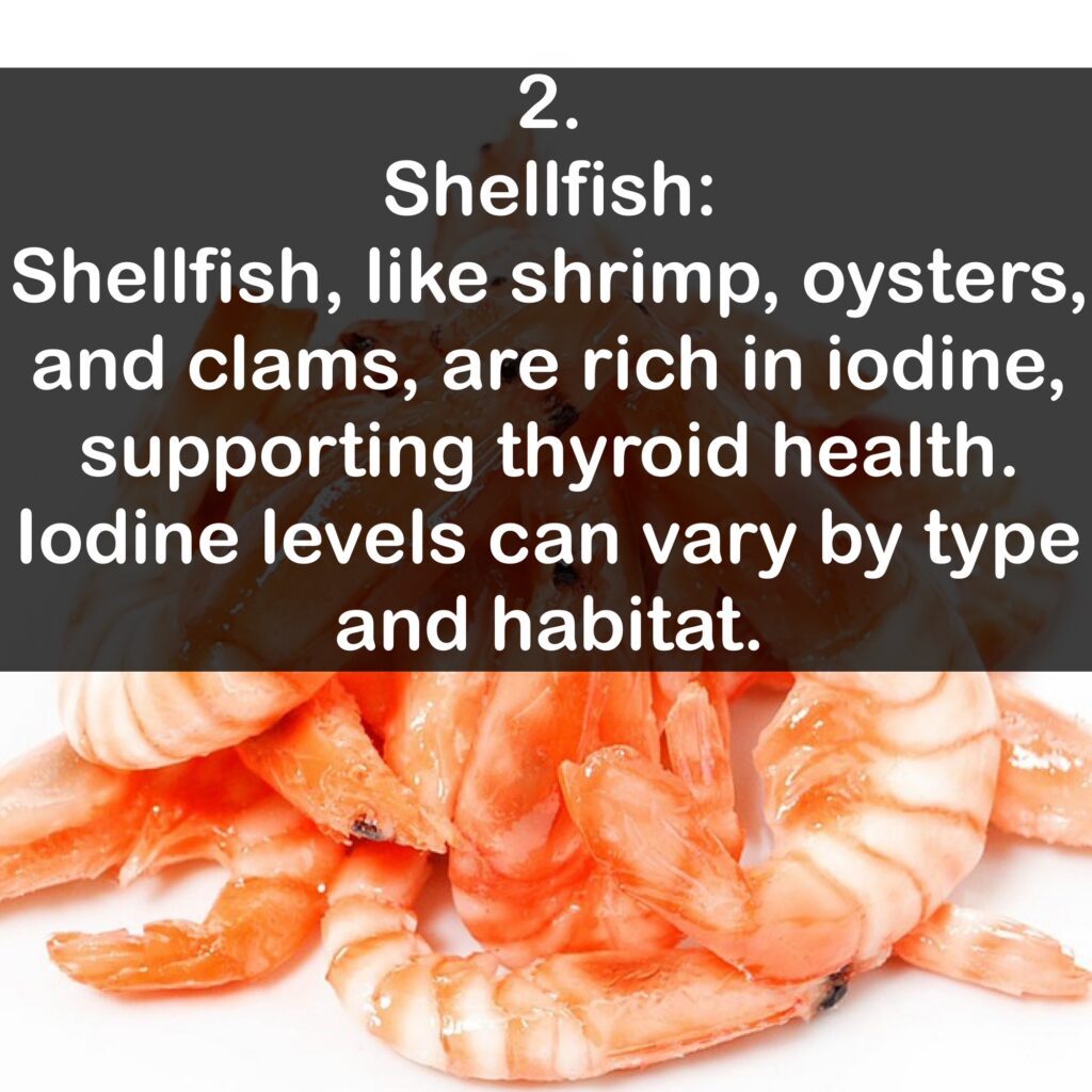 2. Shellfish: Shellfish, like shrimp, oysters, and clams, are rich in iodine, supporting thyroid health. lodine levels can vary by type and habitat.
