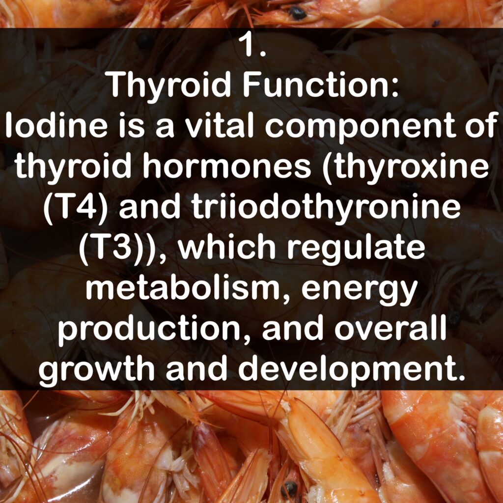 1. Thyroid Function: Iodine is a vital component of thyroid hormones (thyroxine (T4) and triiodothyronine (T3)), which regulate metabolism, energy production, and overall growth and development.