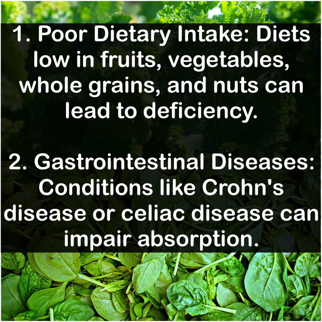1. Poor Dietary Intake: Diets low in fruits, vegetables, whole grains, and nuts can lead to deficiency. 2. Gastrointestinal Diseases: Conditions like Crohn's disease or celiac disease can impair absorption.