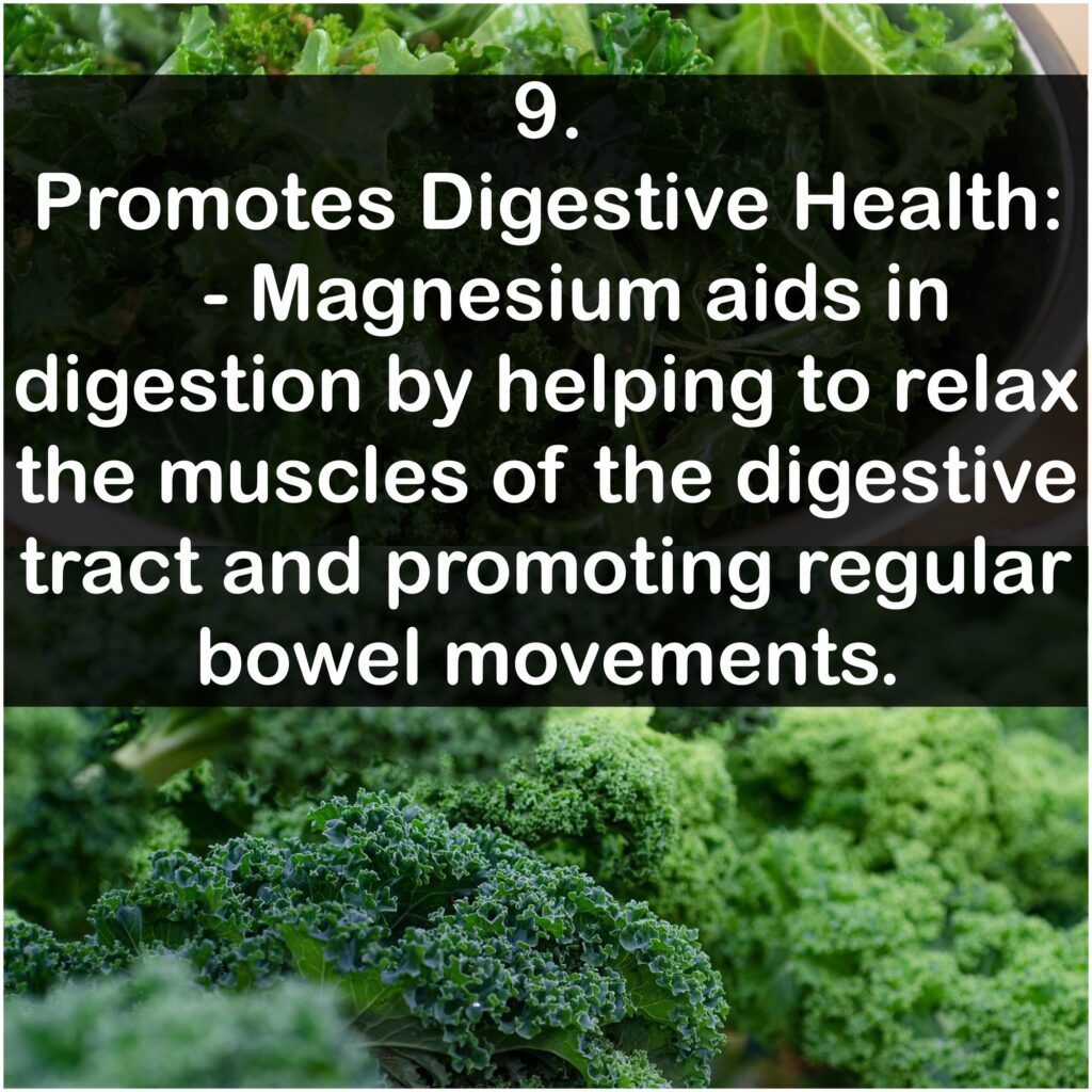 9. Promotes Digestive Health: Magnesium aids in digestion by helping to relax the muscles of the digestive tract and promoting regular bowel movements.