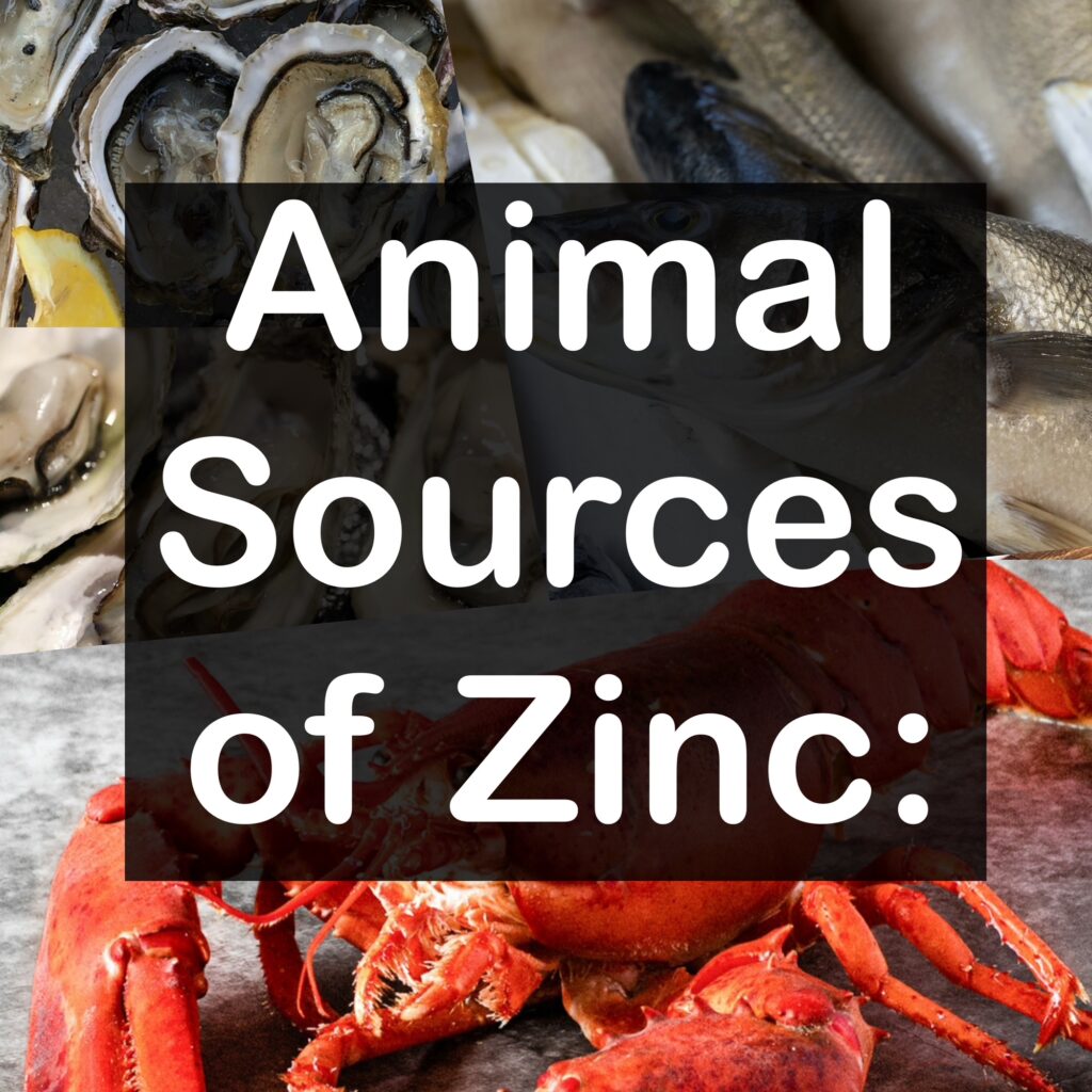 Animal Sources of Zinc:
