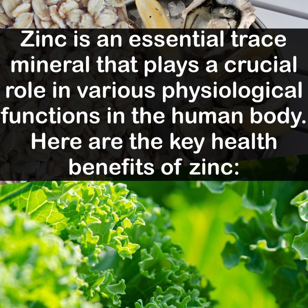 Zinc is an essential trace mineral that plays a crucial role in various physiological functions in the human body. Here are the key health benefits of zinc: