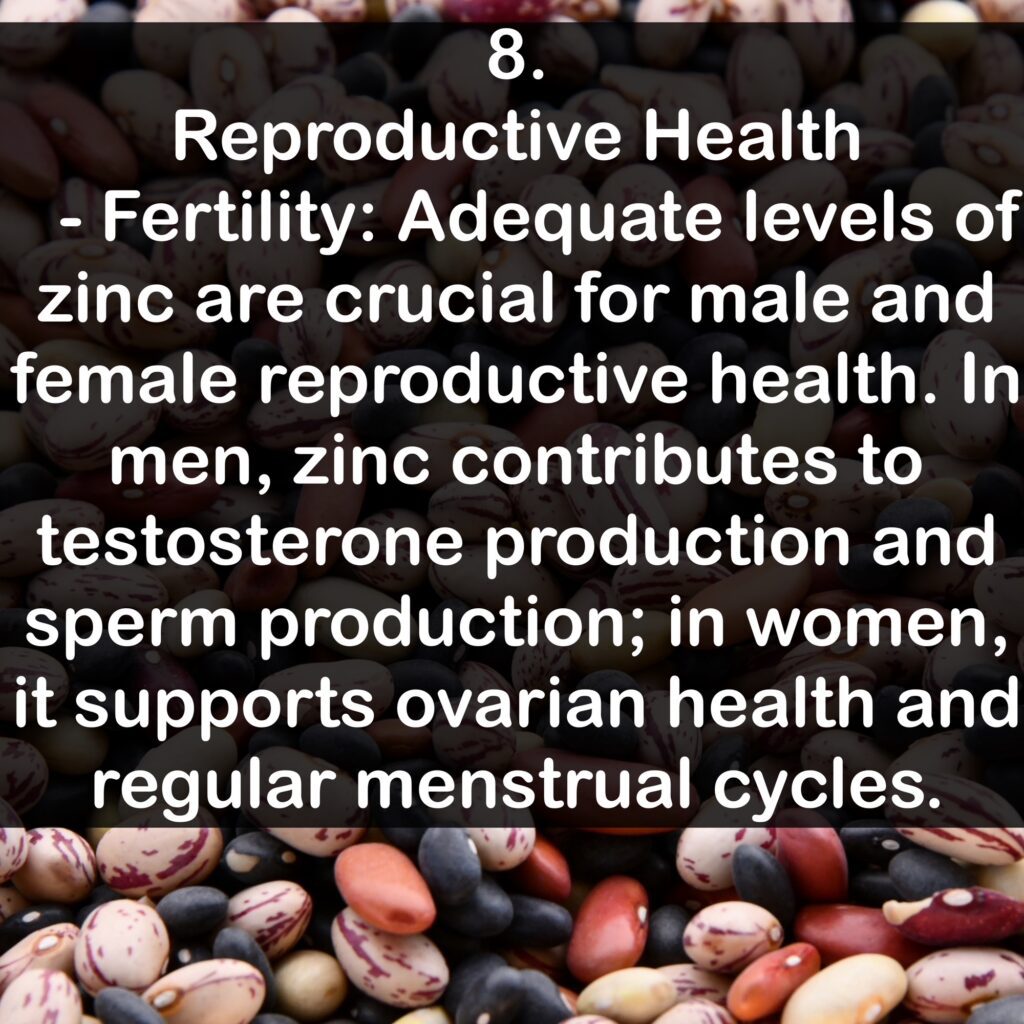 8. Reproductive Health - Fertility: Adequate levels of zinc are crucial for male and female reproductive health. In men, zinc contributes to testosterone production and sperm production; in women, it supports ovarian health and regular menstrual cycles.