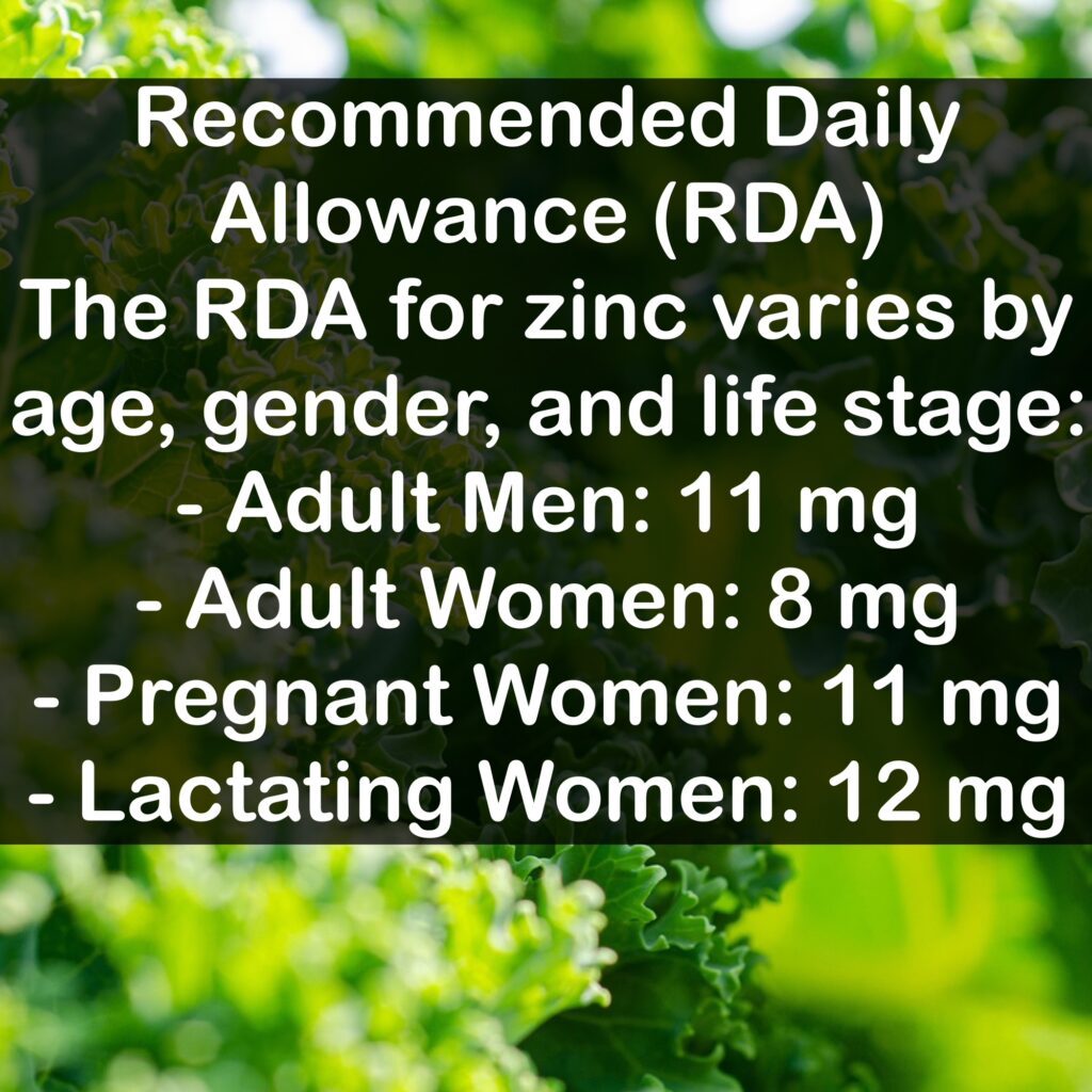 Recommended Daily Allowance (RDA) The RDA for zinc varies by age, gender, and life stage: - Adult Men: 11 mg - Adult Women: 8 mg - Pregnant Women: 11 mg - Lactating Women: 12 mg