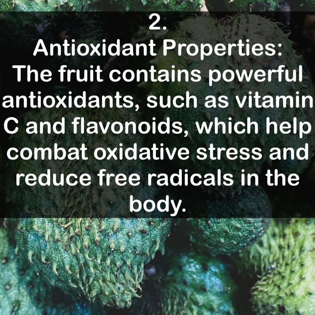 2. Antioxidant Properties: The fruit contains powerful antioxidants, such as vitamin C and flavonoids, which help combat oxidative stress and reduce free radicals in the body.