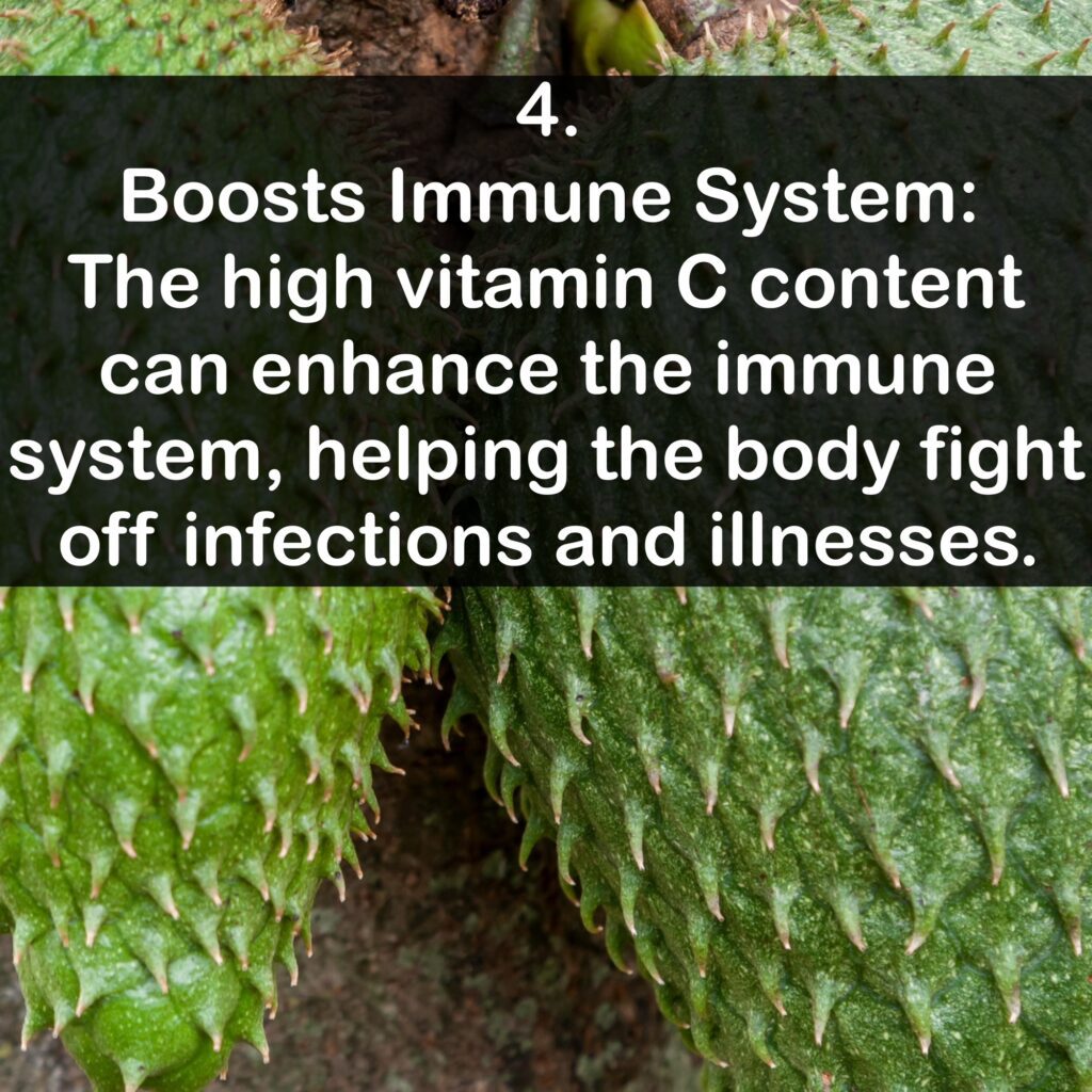 4. Boosts Immune System: The high vitamin C content can enhance the immune system, helping the body fight off infections and illnesses.
