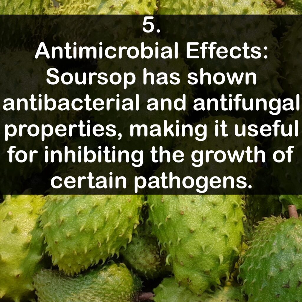 5. Antimicrobial Effects: Soursop has shown antibacterial and antifungal properties, making it useful for inhibiting the growth of certain pathogens.