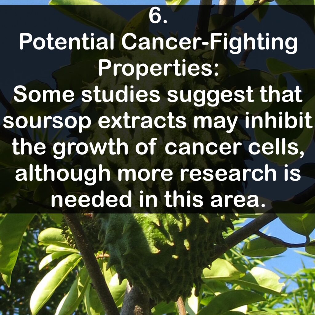 6. Potential Cancer-Fighting Properties: Some studies suggest that soursop extracts may inhibit the growth of cancer cells, although more research is needed in this area.