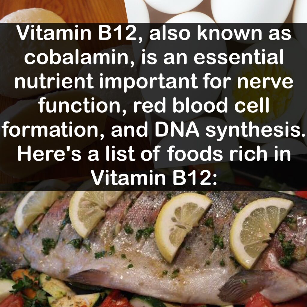 Vitamin B12, also known as cobalamin, is an essential nutrient important for nerve function, red blood cell formation, and DNA synthesis. Here's a list of foods rich in Vitamin B12: