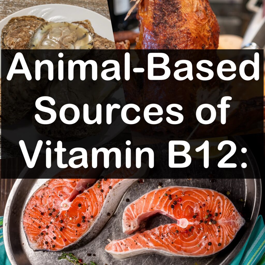 Animal-Based Sources of Vitamin B12: