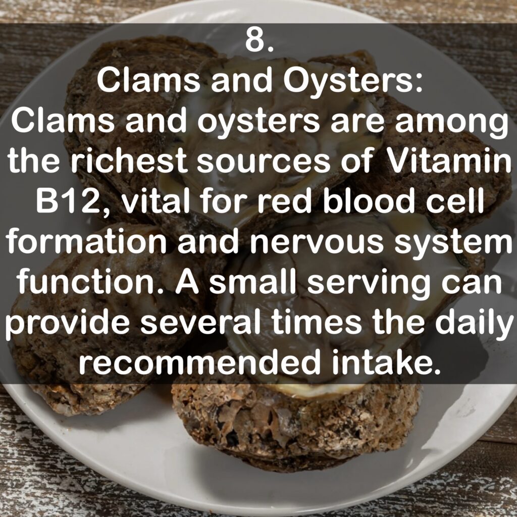 8. Clams and Oysters: Clams and oysters are among the richest sources of Vitamin B12, vital for red blood cell formation and nervous system function. A small serving can provide several times the daily recommended intake.