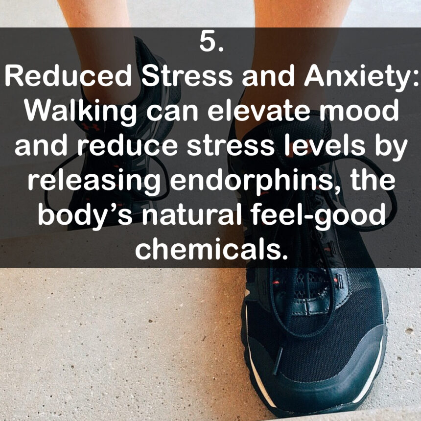 5. Reduced Stress and Anxiety: Walking can elevate mood and reduce stress levels by releasing endorphins, the body's natural feel-good chemicals.