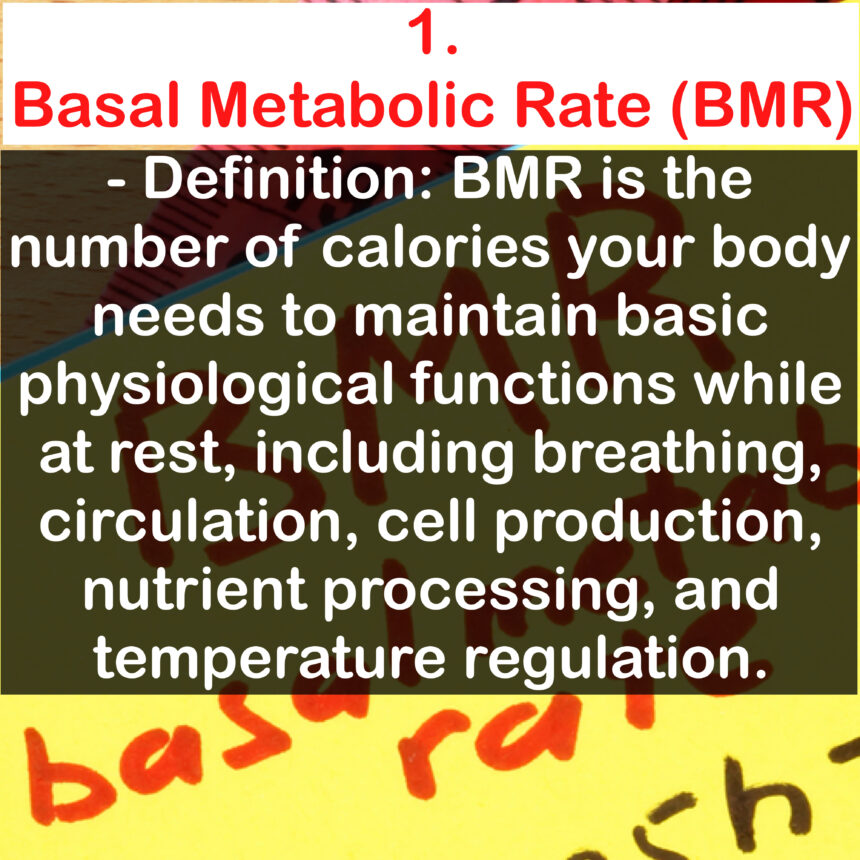 1. Basal Metabolic Rate (BMR) - Definition: BMR is the number of calories your body needs to maintain basic physiological functions while at rest, including breathing, circulation, cell production, nutrient processing, and temperature regulation.