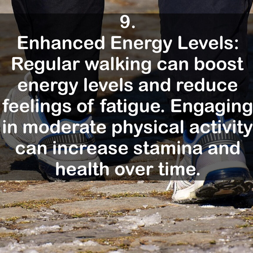9. Enhanced Energy Levels: Regular walking can boost energy levels and reduce feelings of fatigue. Engaging in moderate physical activity can increase stamina and health over time.