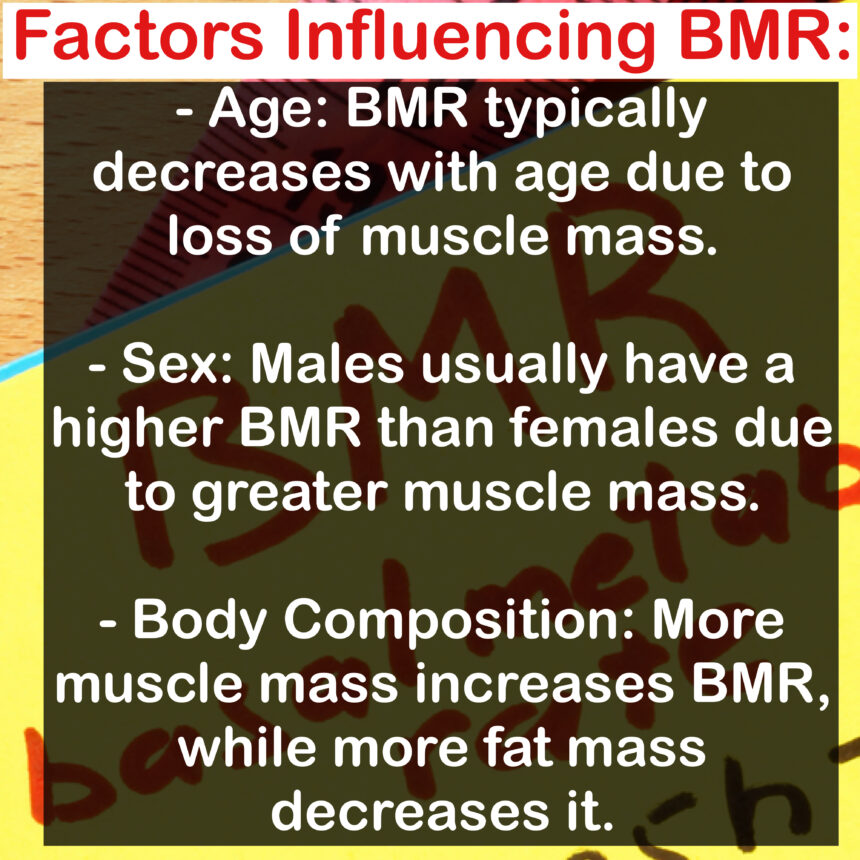 Factors Influencing BMR: - Age: BMR typically decreases with age due to loss of muscle mass. - Sex: Males usually have a higher BMR than females due to greater muscle mass. - Body Composition: More muscle mass increases BMR, while more fat mass decreases it.