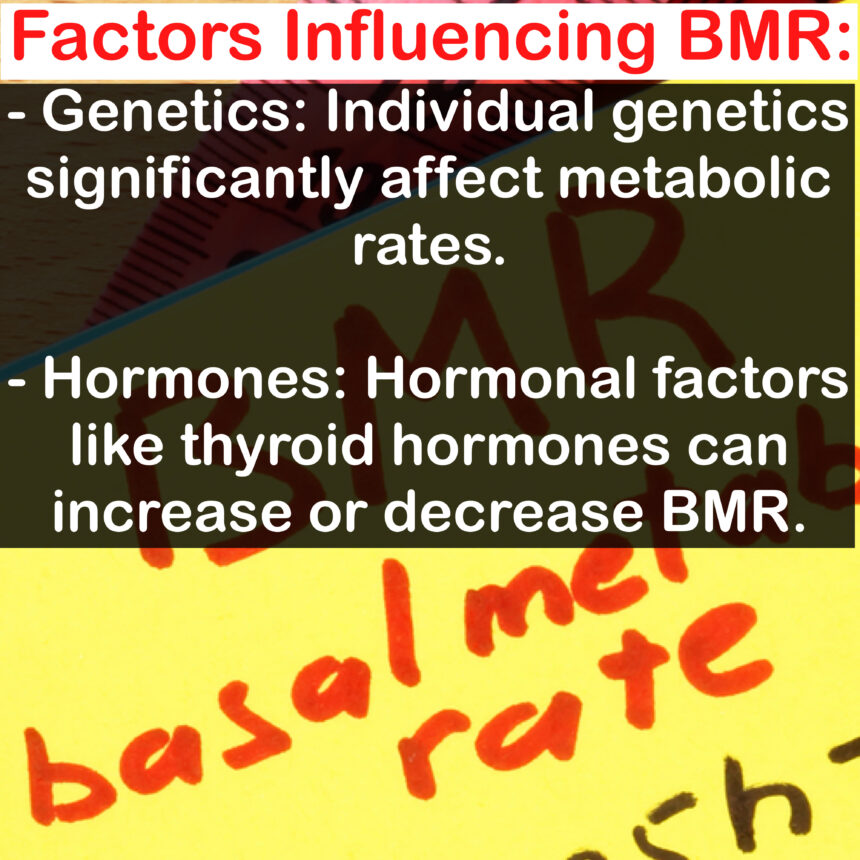 - Genetics: Individual genetics significantly affect metabolic rates. - Hormones: Hormonal factors like thyroid hormones can increase or decrease BMR.