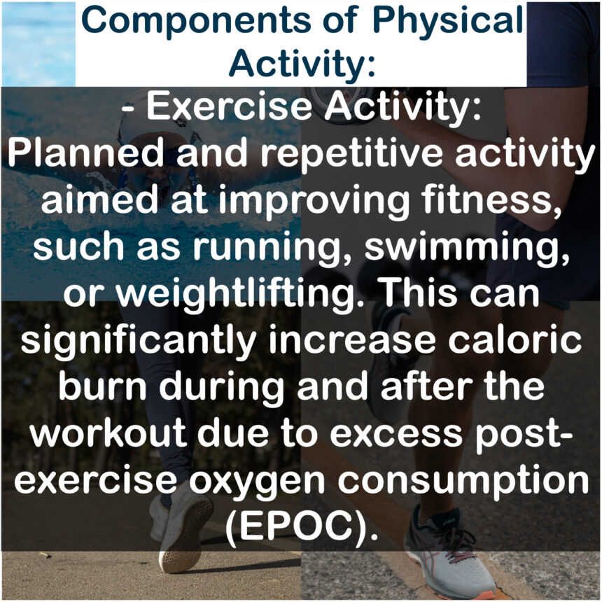 Components of Physical Activity: - Exercise Activity: Planned and repetitive activity aimed at improving fitness, such as running, swimming, or weightlifting. This can significantly increase caloric burn during and after the workout due to excess post-exercise oxygen consumption (EPOC).
