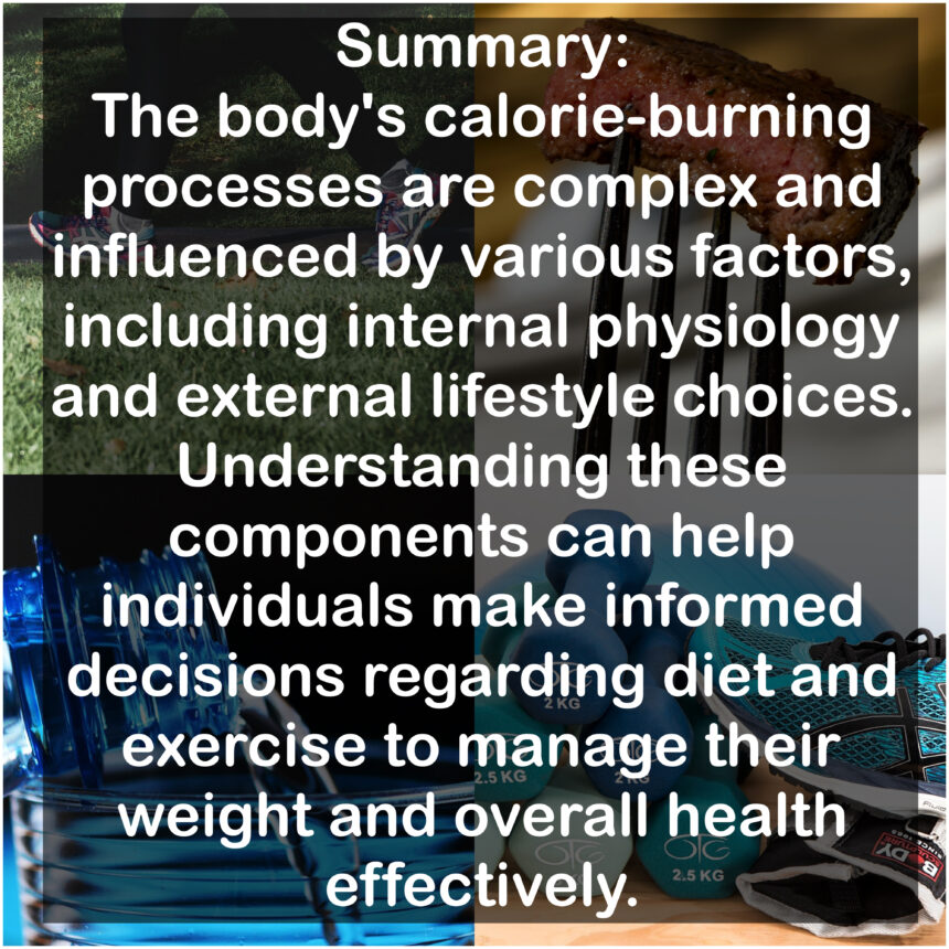 Summary: The body's calorie-burning processes are complex and influenced by various factors, including internal physiology and external lifestyle choices. Understanding these components can help individuals make informed decisions regarding diet and exercise to manage their weight and overall health effectively.