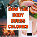 How the body burns calories