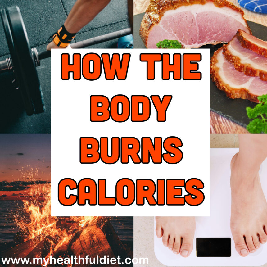 How the body burns calories