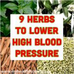 9 Herbs to Lower High Blood Pressure