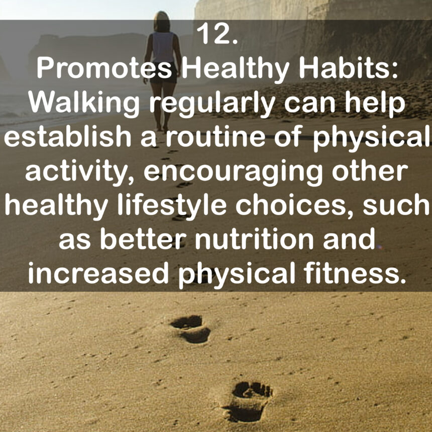 12. Promotes Healthy Habits: Walking regularly can help establish a routine of physical activity, encouraging other healthy lifestyle choices, such as better nutrition and increased physical fitness.