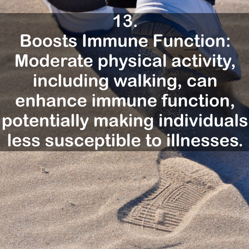 13. Boosts Immune Function: Moderate physical activity, including walking, can enhance immune function, potentially making individuals less susceptible to illnesses.