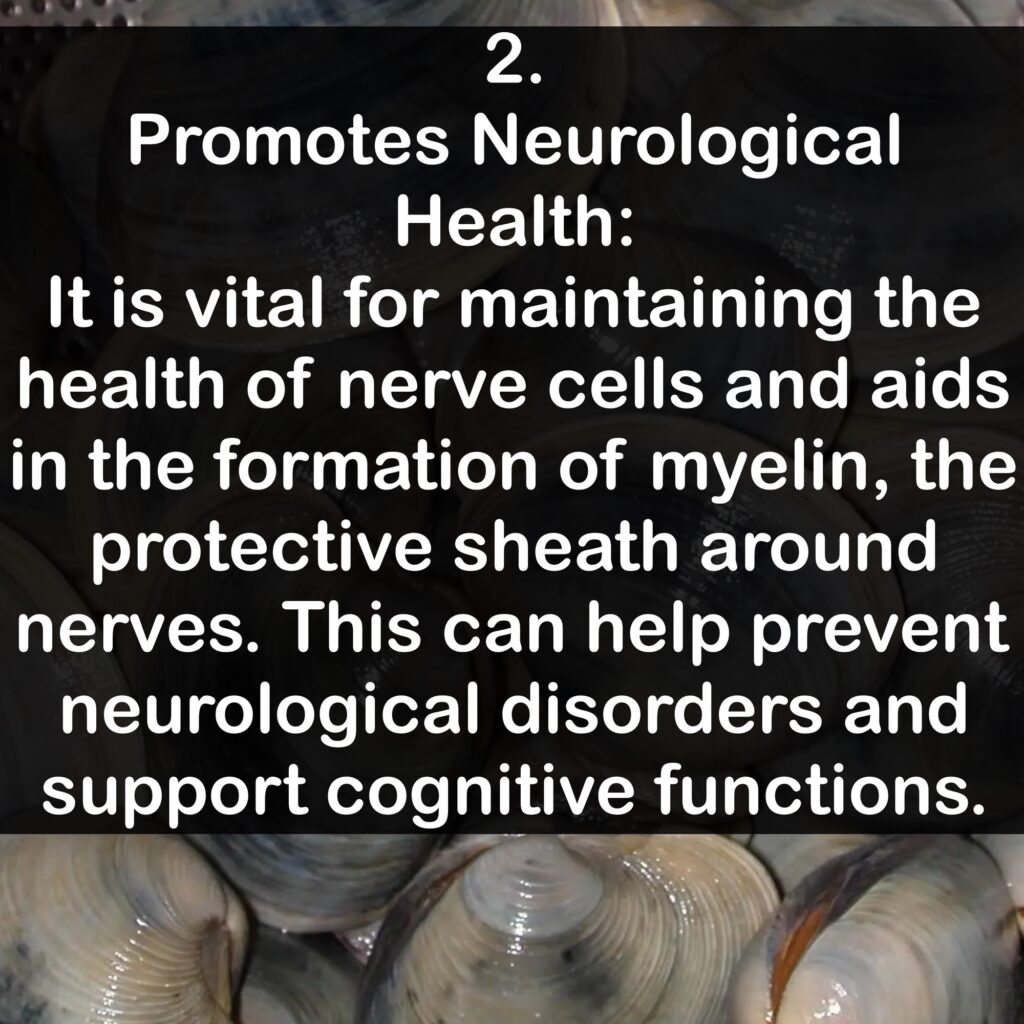 2. Promotes Neurological Health: It is vital for maintaining the health of nerve cells and aids in the formation of myelin, the protective sheath around nerves. This can help prevent neurological disorders and support cognitive functions.
