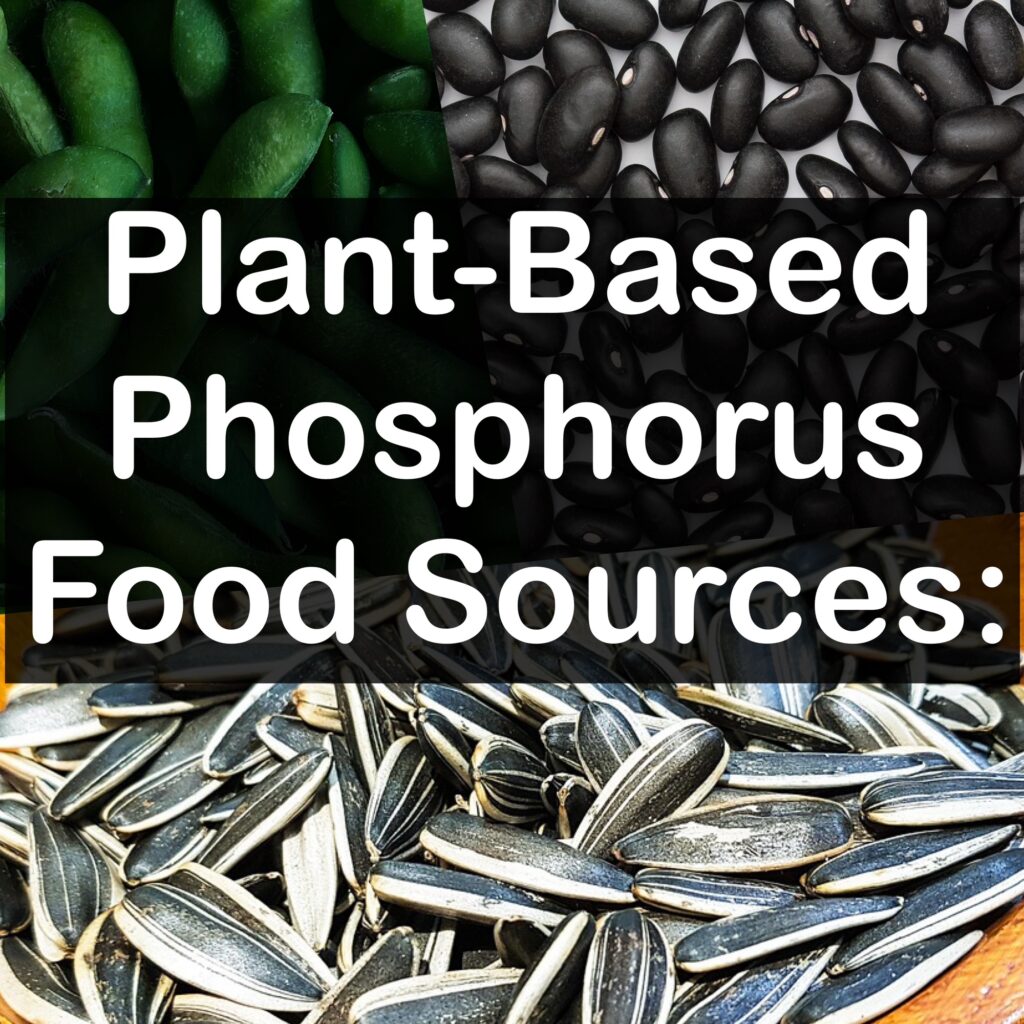 Plant-Based Phosphorus Food Sources: