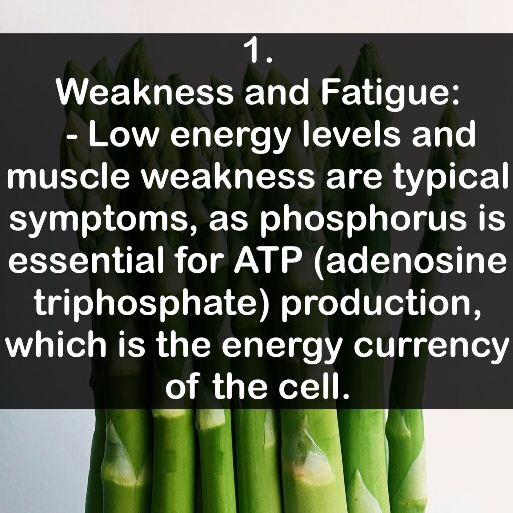1. Weakness and Fatigue: - Low energy levels and muscle weakness are typical symptoms, as phosphorus is essential for ATP (adenosine triphosphate) production, which is the energy currency of the cell.