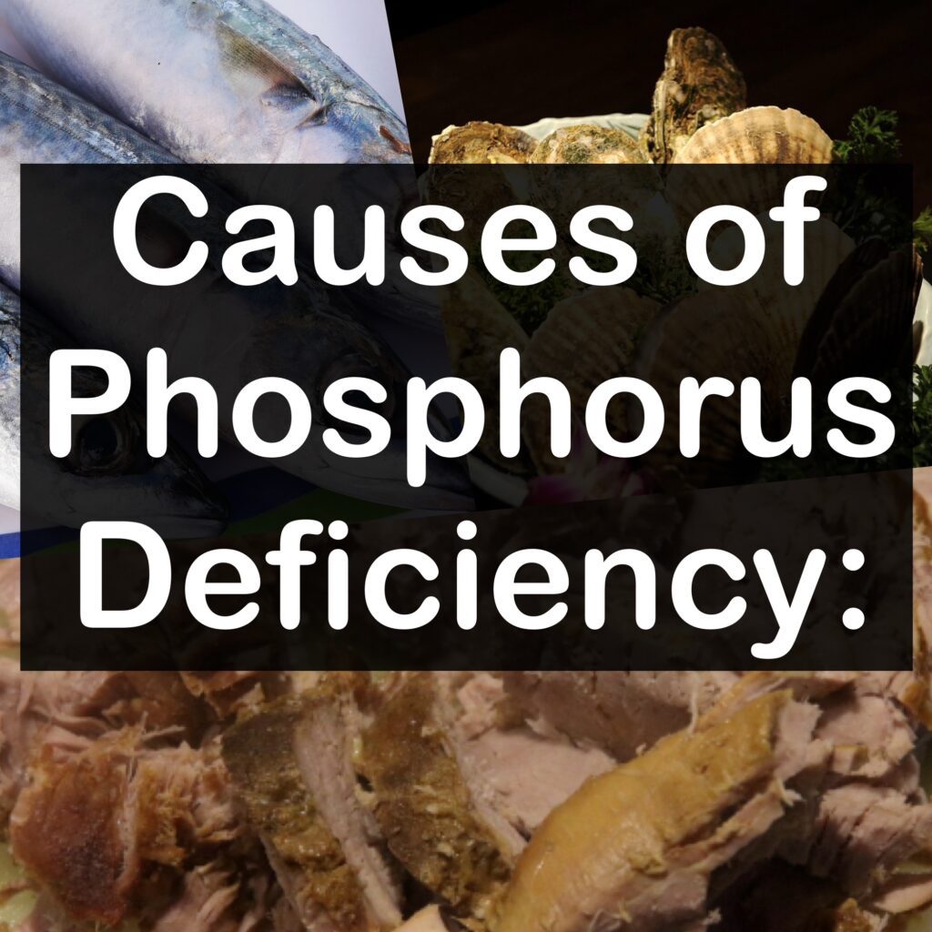 Causes of Phosphorus Deficiency