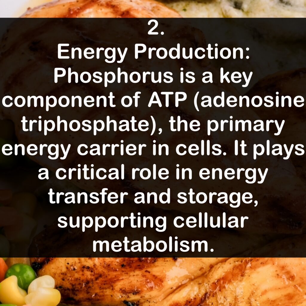 2. Energy Production: Phosphorus is a key component of ATP (adenosine triphosphate), the primary energy carrier in cells. It plays a critical role in energy transfer and storage, supporting cellular metabolism.
