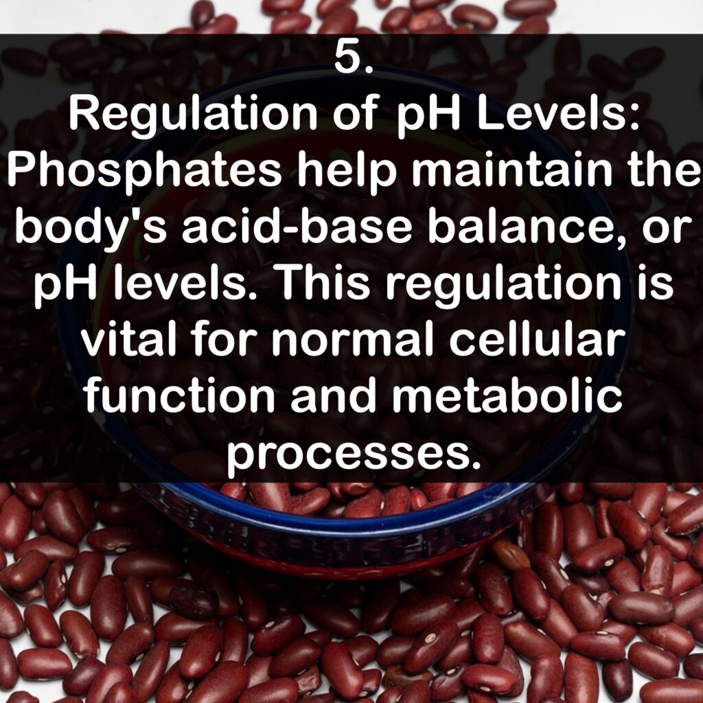 5. Regulation of pH Levels: Phosphates help maintain the body's acid-base balance, or pH levels. This regulation is vital for normal cellular function and metabolic processes.