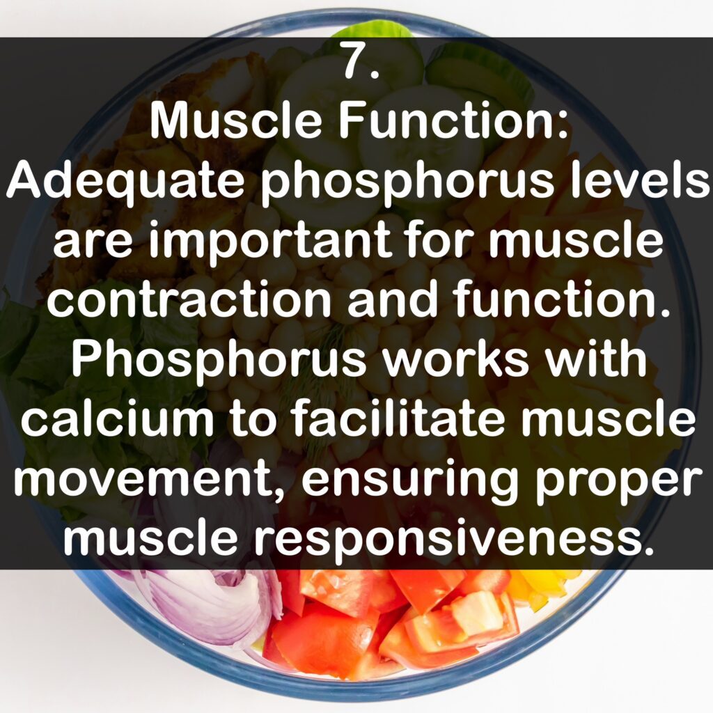 7. Muscle Function: Adequate phosphorus levels are important for muscle contraction and function. Phosphorus works with calcium to facilitate muscle movement, ensuring proper muscle responsiveness.