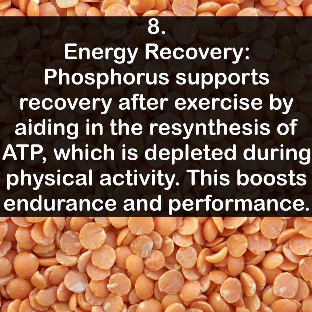 8. Energy Recovery: Phosphorus supports recovery after exercise by aiding in the resynthesis of ATP, which is depleted during physical activity. This boosts endurance and performance.