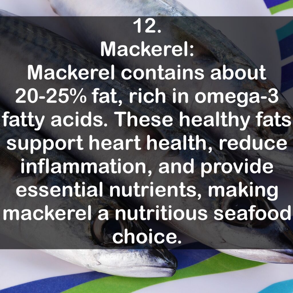 12. Mackerel: Mackerel contains about 20-25% fat, rich in omega-3 fatty acids. These healthy fats support heart health, reduce inflammation, and provide essential nutrients, making mackerel a nutritious seafood choice.