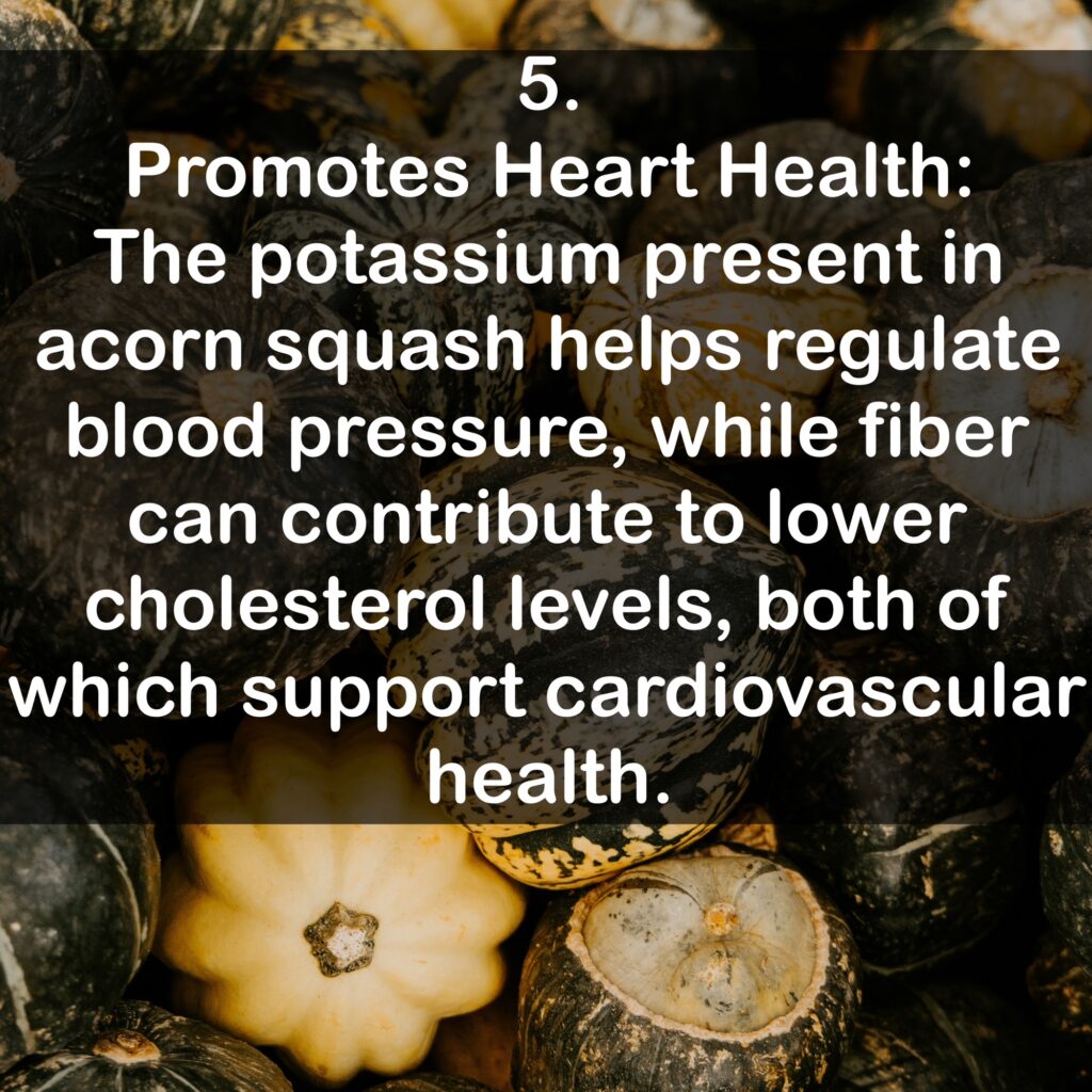 5. Promotes Heart Health: The potassium present in acorn squash helps regulate blood pressure, while fiber can contribute to lower cholesterol levels, both of which support cardiovascular health.