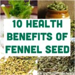10 Health Benefits of Fennel Seeds