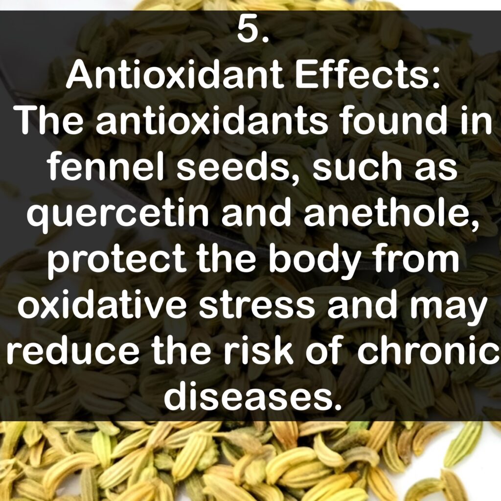 5. Antioxidant Effects: The antioxidants found in fennel seeds, such as quercetin and anethole, protect the body from oxidative stress and may reduce the risk of chronic diseases.
