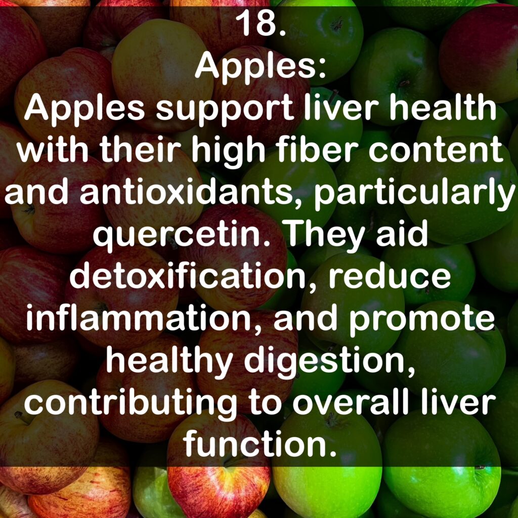 18. Apples: Apples support liver health with their high fiber content and antioxidants, particularly quercetin. They aid detoxification, reduce inflammation, and promote healthy digestion, contributing to overall liver function.
